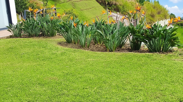 zonas verdes jardineria